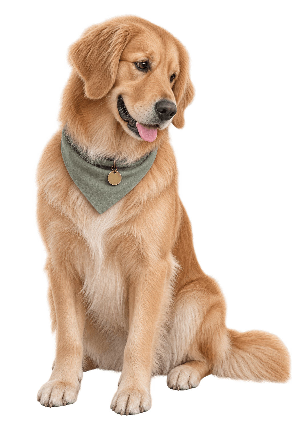 A lifelike golden retriever in a sage green bandana, looking fondly at the spaniel